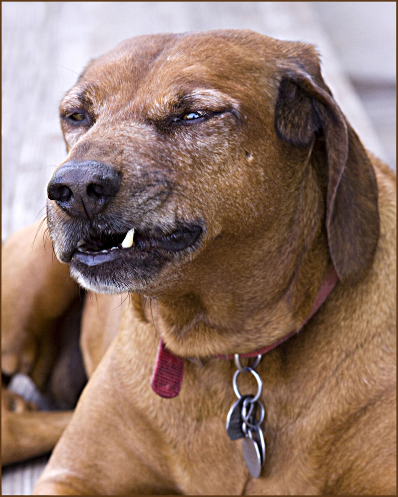 Bully for You, Maybe, but not for Me