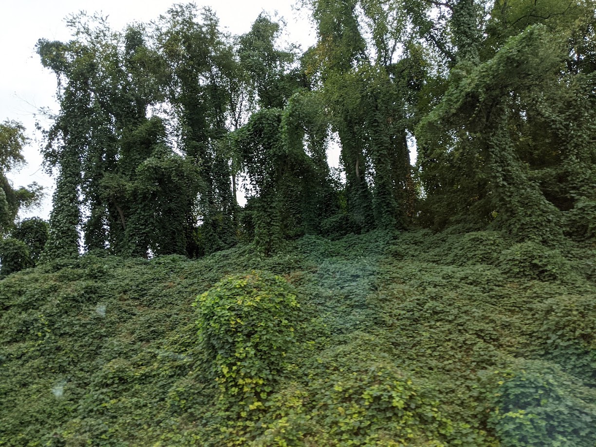 Making the Most of Florida