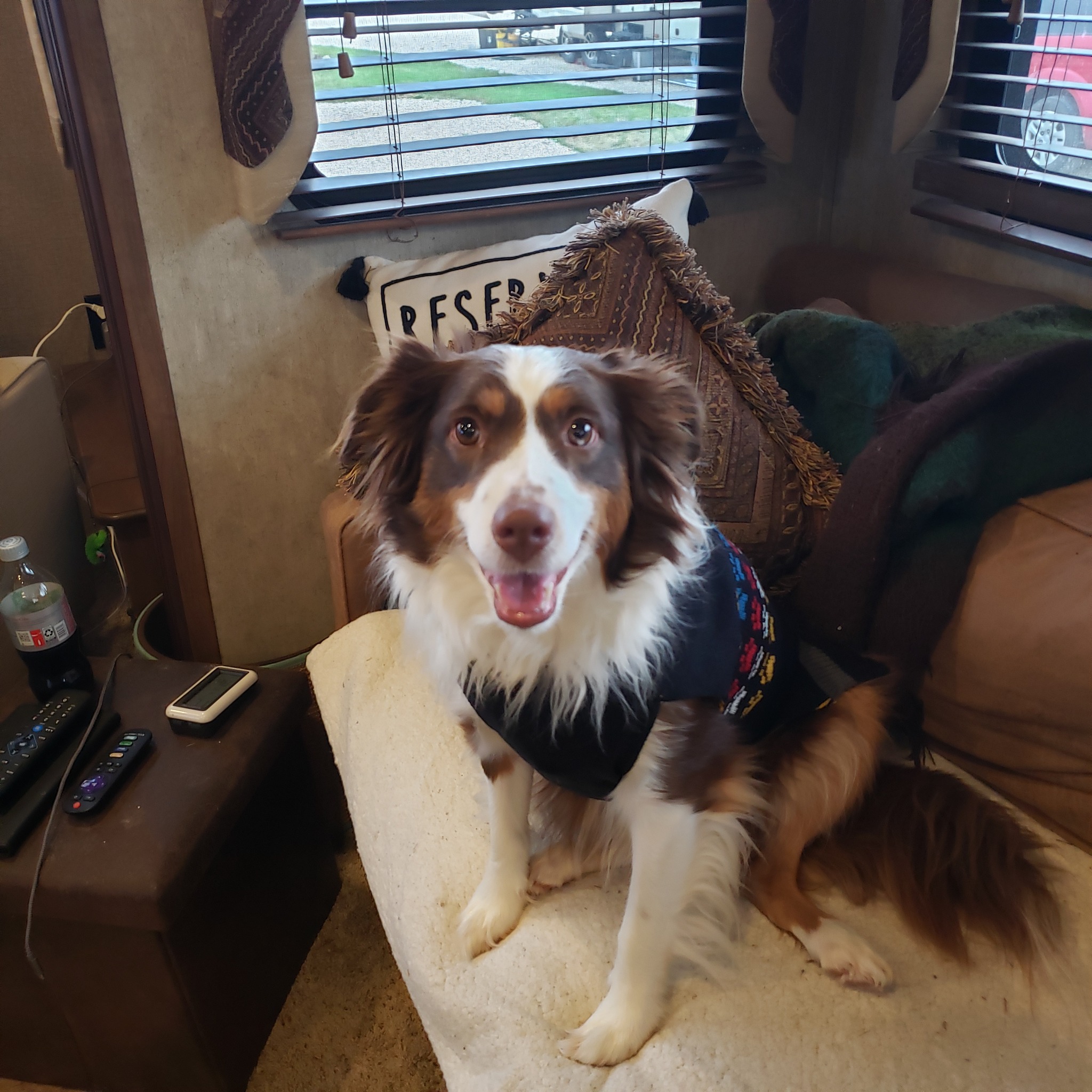 When the Human Element is Removed