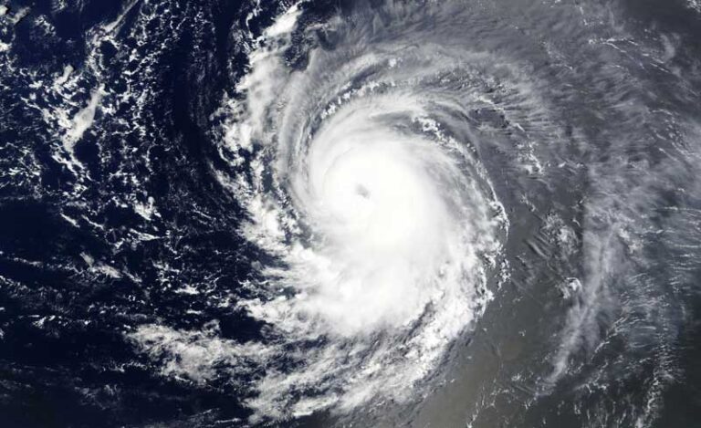 The Gods Must Be Crazy Redux