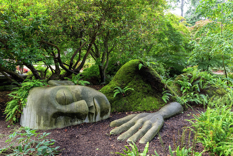 The Moss Lady of Beacon Hill Park