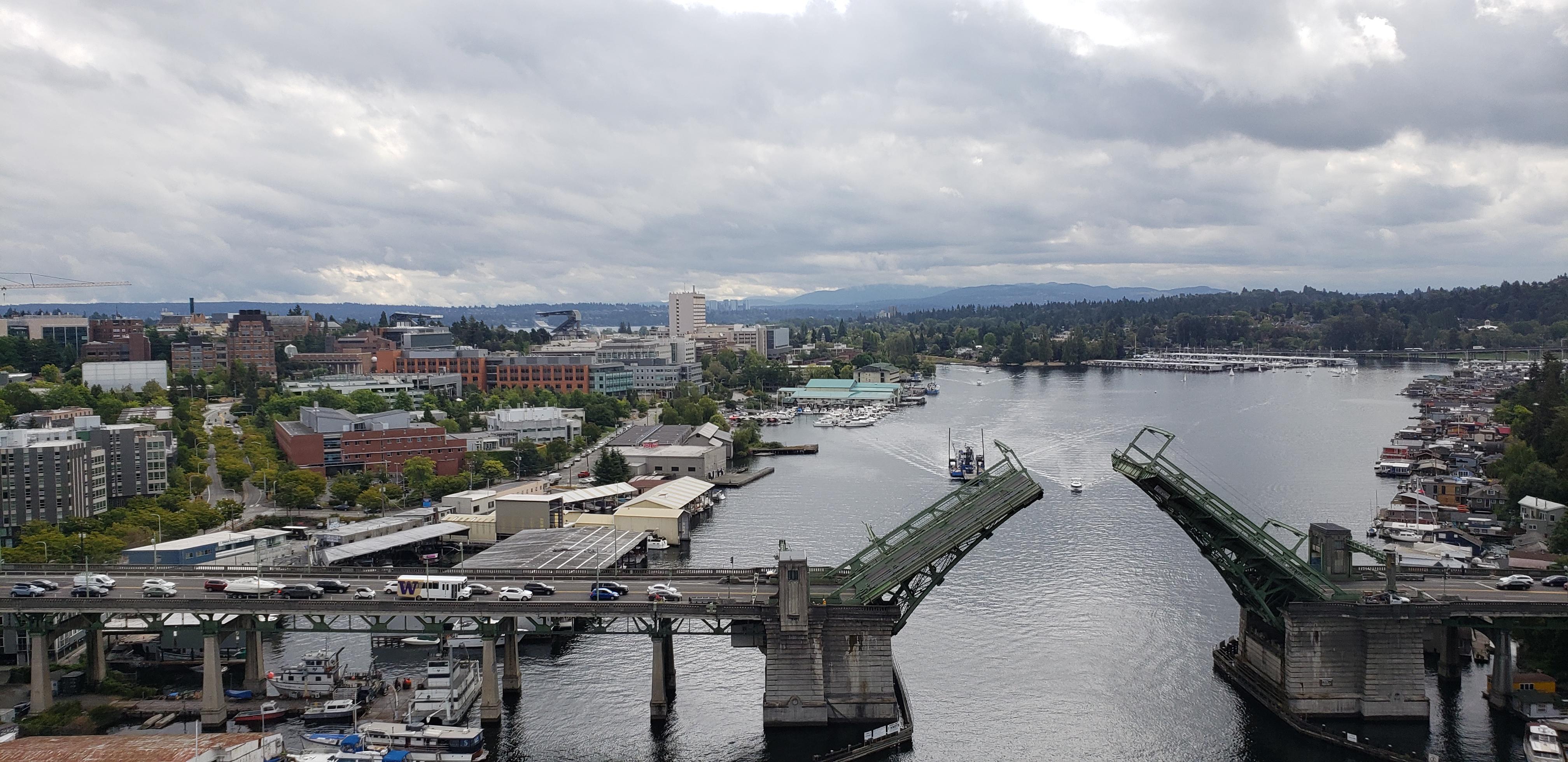 Join the Movement to Change the Color of My Bridge